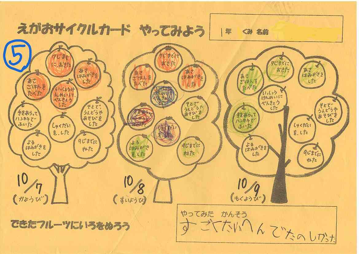 5scan_251212-163550_1