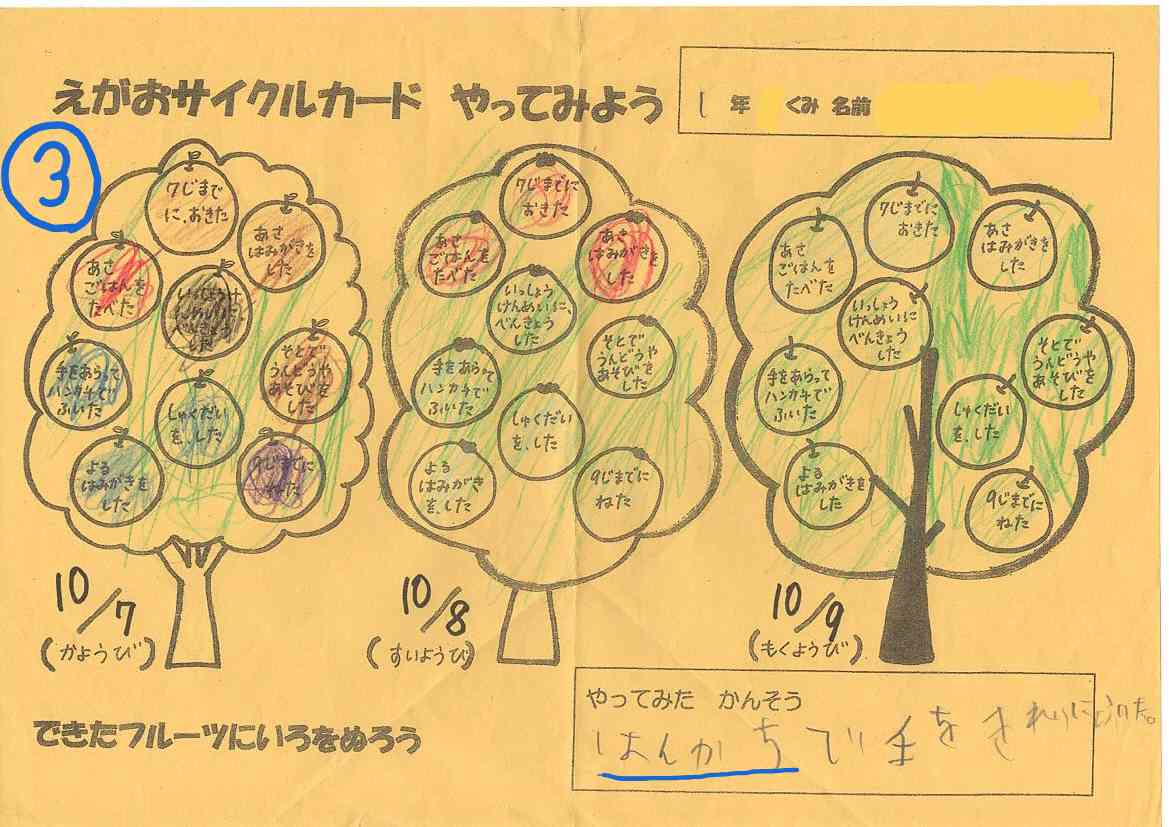 3scan_251212-163639_1